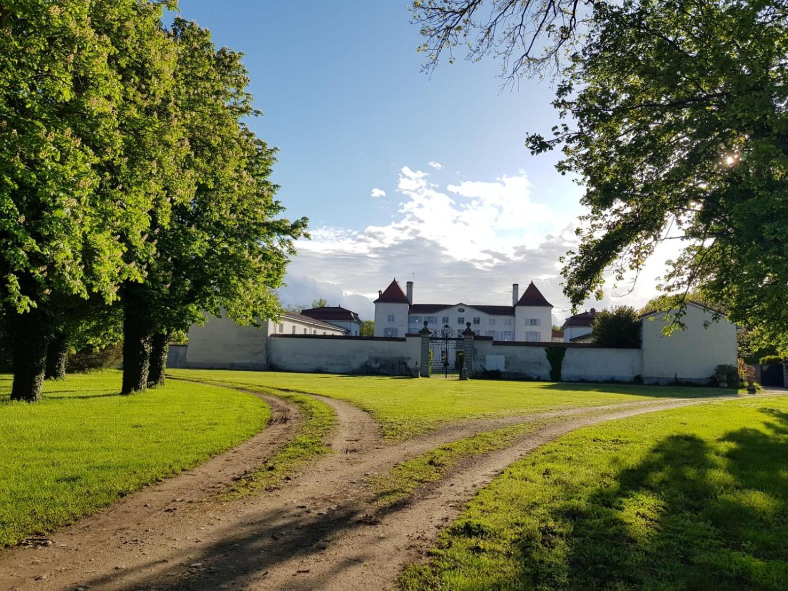 Chateau Des Perichons Poncins Eksteriør bilde